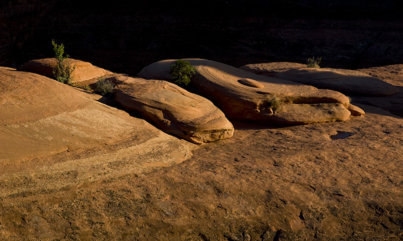 Rocks At Base Of Delicate Arch